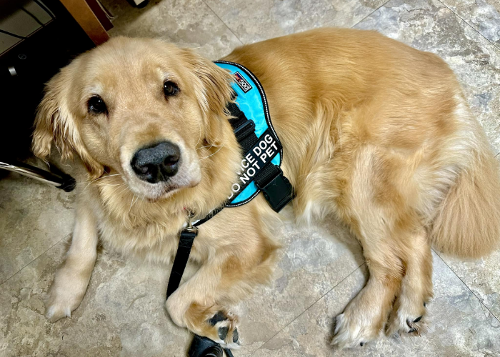 Join-our-team-suburban-physical-therapy-twinsburg-brecksville-oh – 2